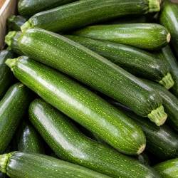 Courgette longue