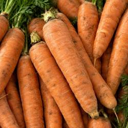 Carottes fraiches 1kg locales clemence villeneuve drive nimes