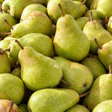 Poire Guyot 1 kg – Producteur local Mr Mely aux Angles | Mas des agriculteurs