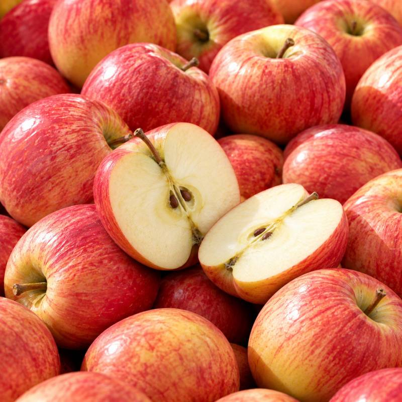 Pomme Gala  1kg