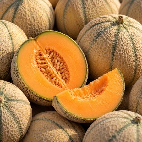melon frais 1kg producteur local aimargues lecques gard nimes