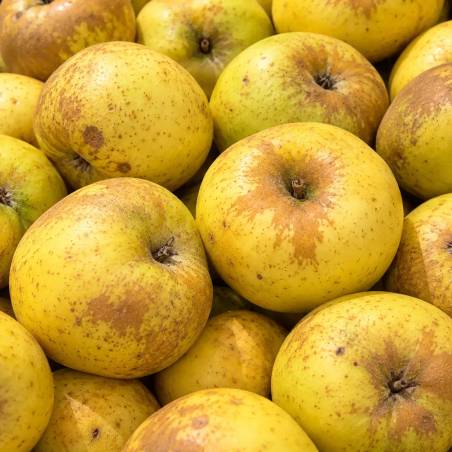Reinette du Vigan 1kg – Pommes anciennes locales – Mr Guibal | Mas des agriculteurs