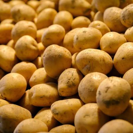 Pomme de terre 2,5 kg