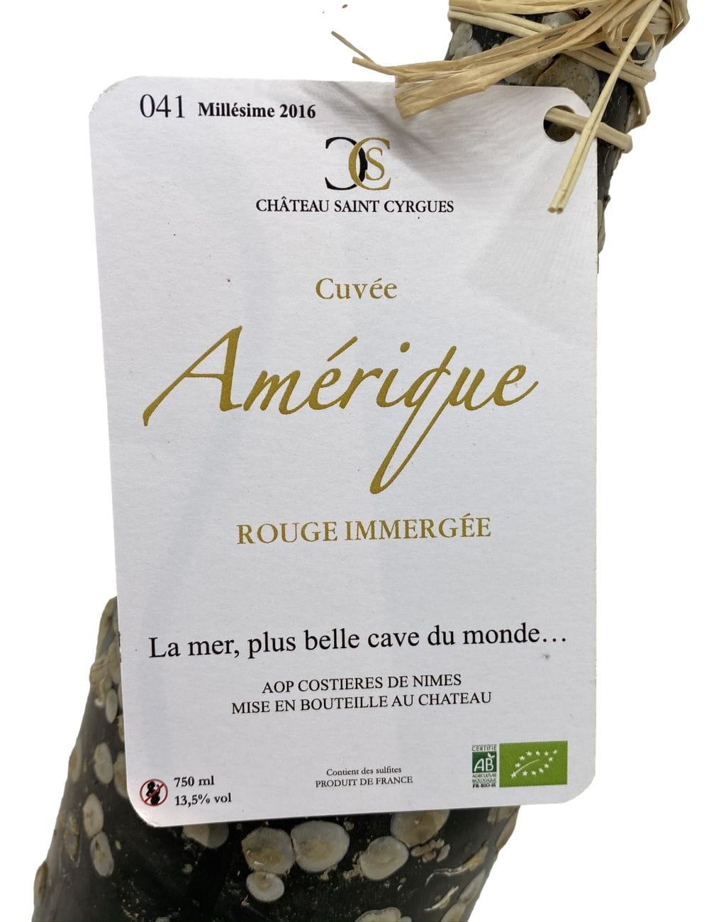 Amérique immergée rouge 75cl - Château saint Cyrgues