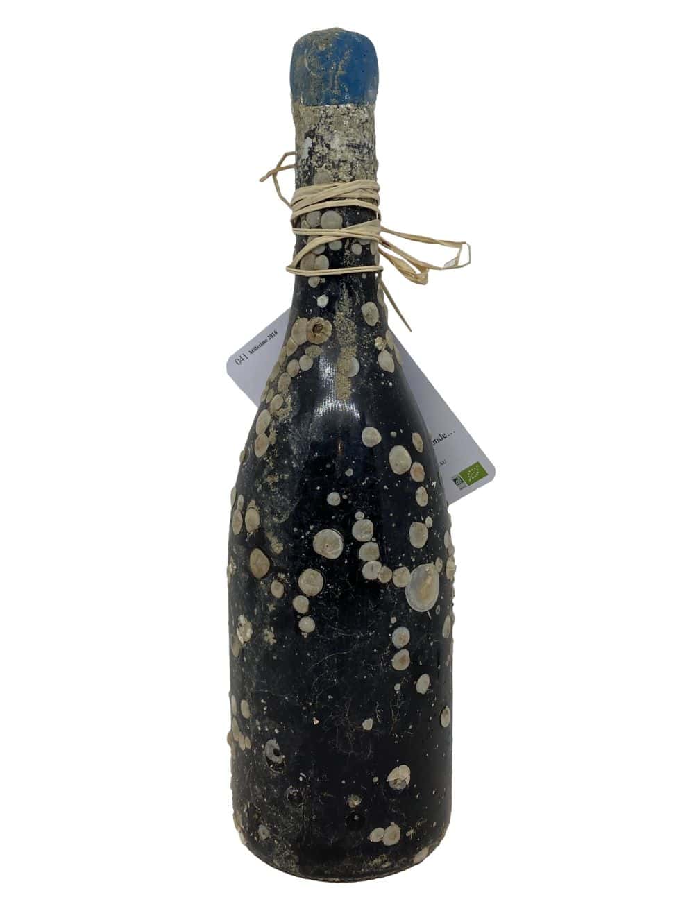 Amérique immergée rouge 75cl - Château saint Cyrgues