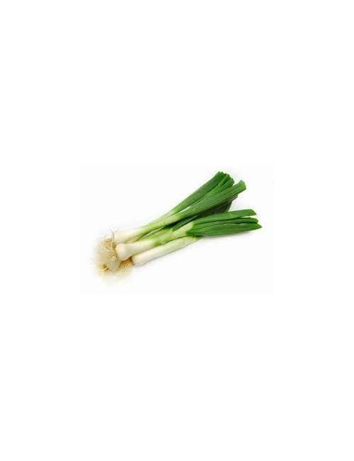 Cebette