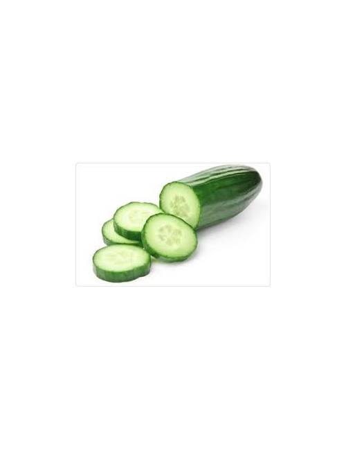 Concombre