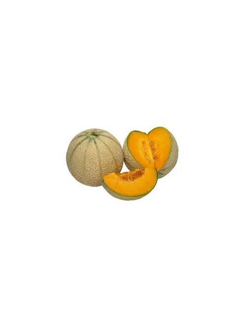 melon frais 1kg producteur local aimargues lecques gard nimes