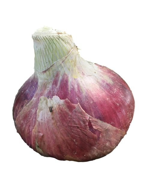 oignon rouge 1kg local uchaud boudlal drive nimes