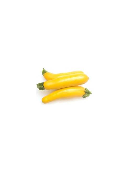 courgette jaune 1kg locale mr salah vauvert gard nimes légumes frais