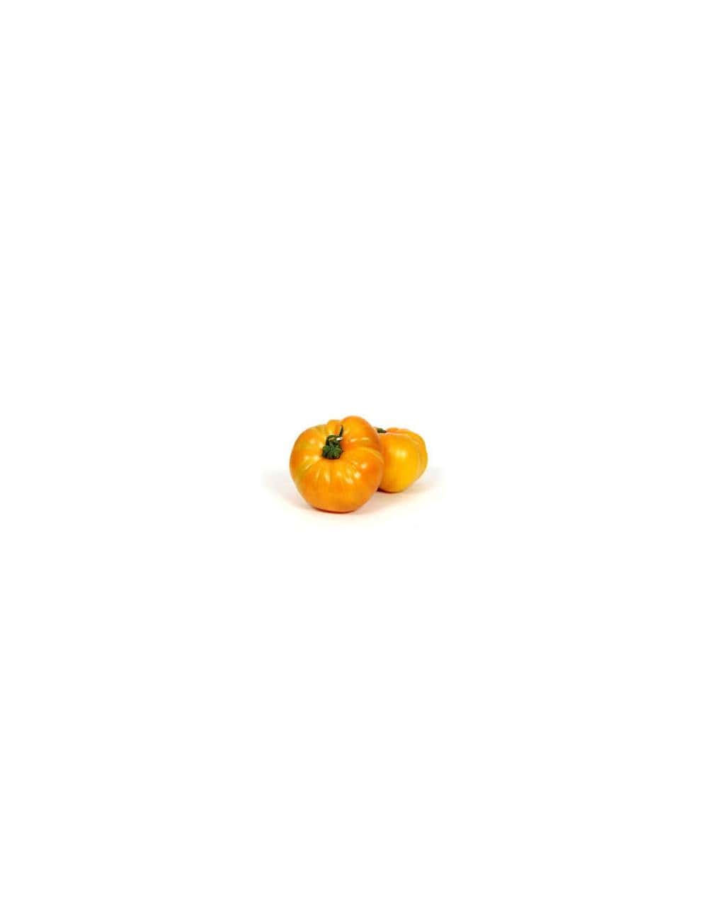 tomate ananas producteur local Lecques Gard
