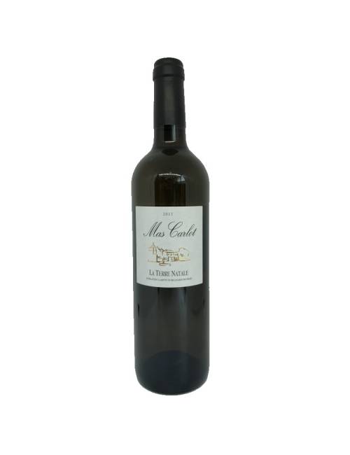 La Terre Natale 75 cl - Mas Carlot