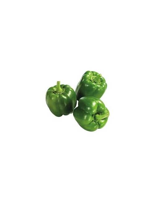 Poivron vert 1kg