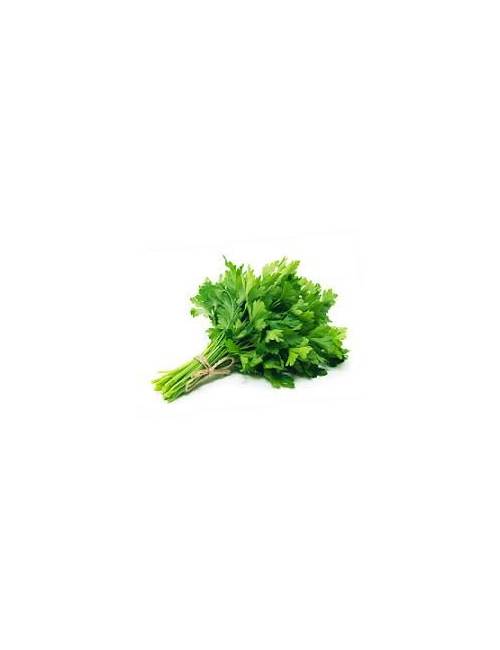 Persil plat