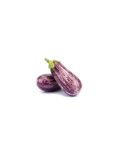aubergine zebree locale fraiche lecques nimes producteur