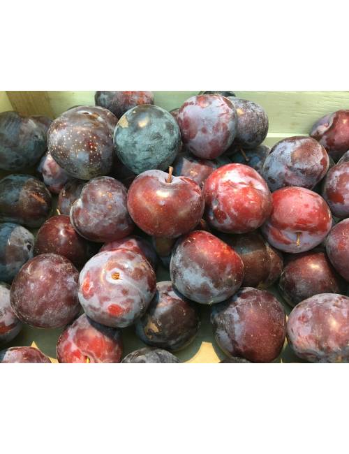 Prune rouge 1kg