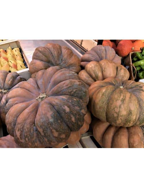 Courge tranchée 1kg