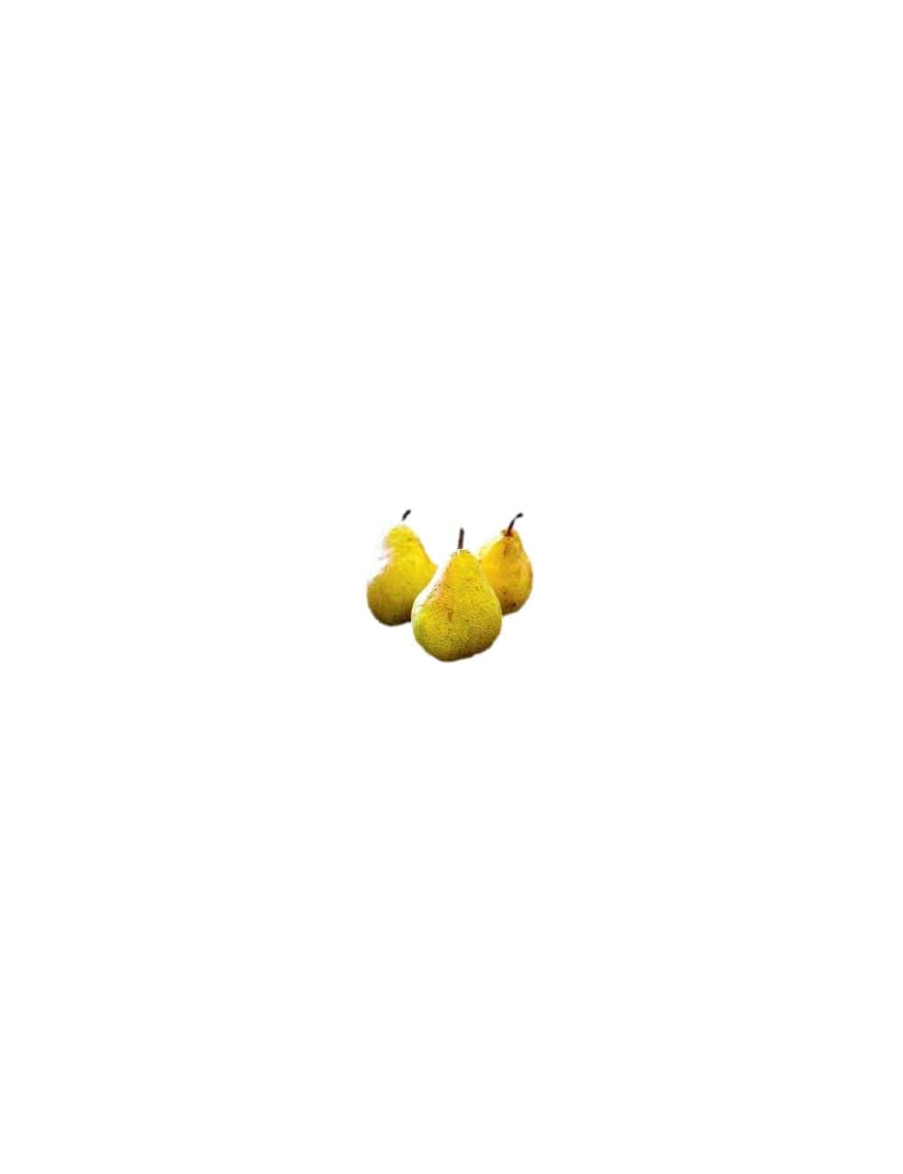 Poire Bio 1kg