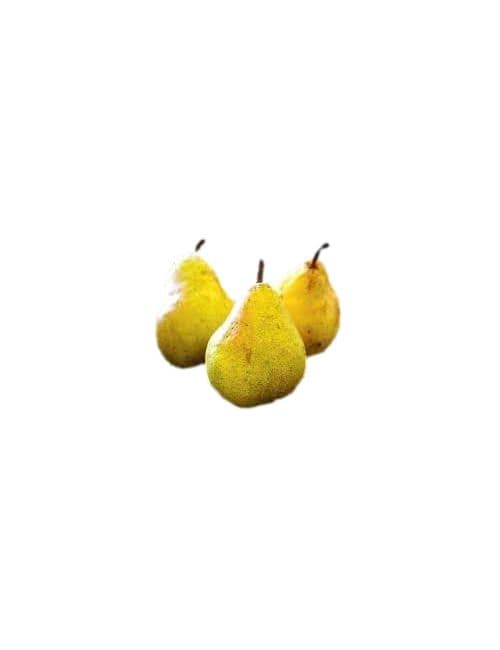 Poire Bio 1kg