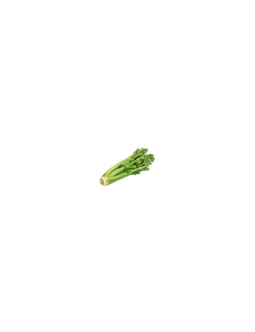 Cèleri branche (la branche) env.100g