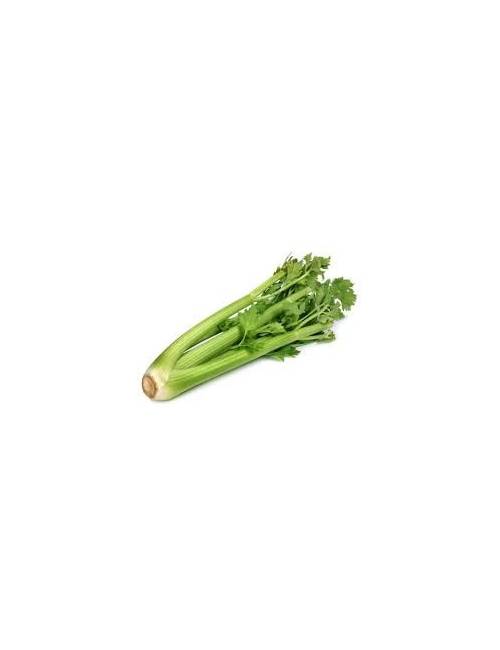 Cèleri branche (la branche) env.100g