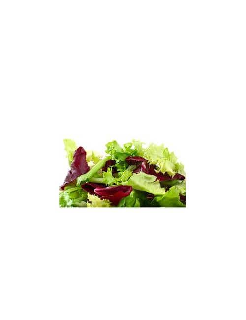 salade melangée scarole frisée trévise producteur local marguerittes