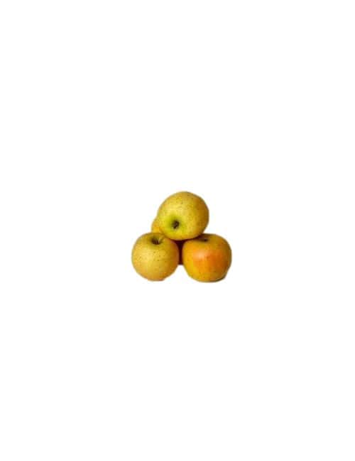Pomme reinette du Vigan 1kg
