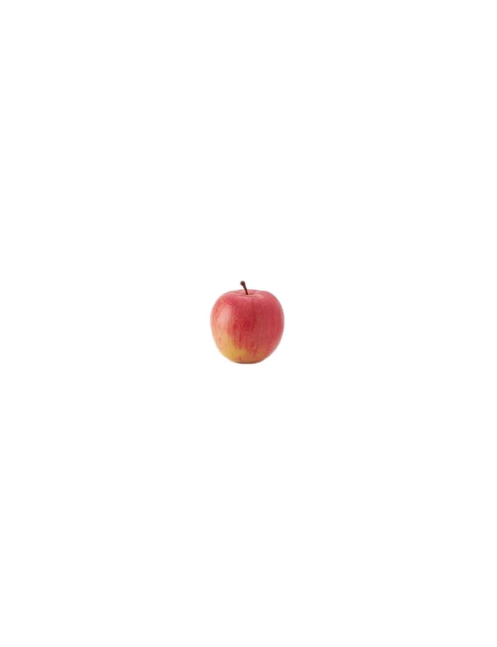 Pomme Gala  1kg