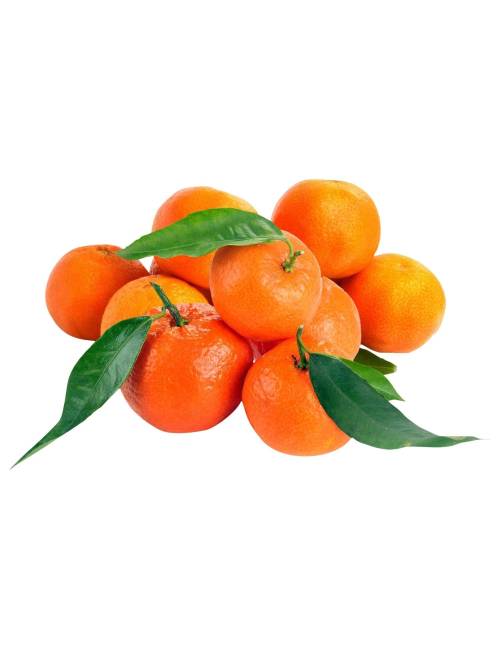 Clémentine 1kg IGP Corse bio