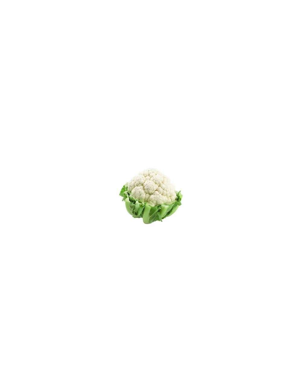 chou-fleur frais local Aigues-Mortes Gard Mas des Agriculteurs