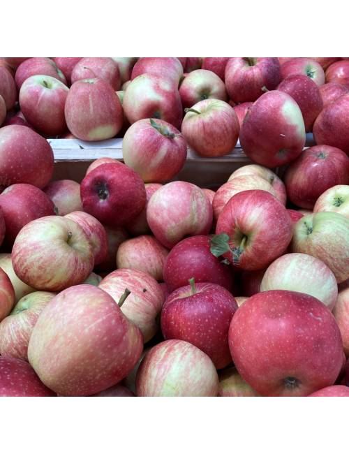 pomme inored rouge cofruitdoc locale drive livraison nimes