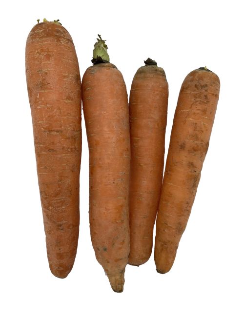 carottes fraiches 1kg locales clemence villeneuve drive nimes