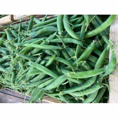 Petits pois 500g