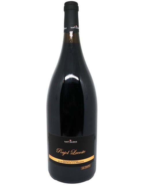 Poujol Lacoste Blanc 1.5 L - Cave de Saint Maurice