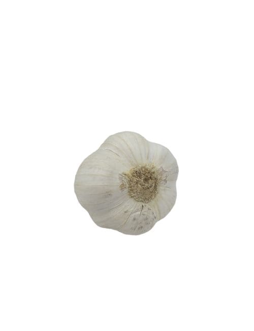 Ail violet 500g