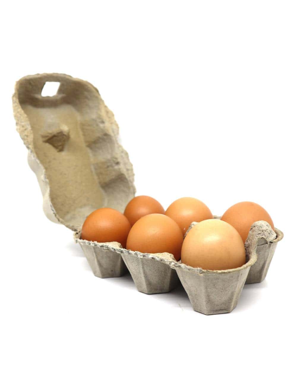 Œufs plein air x 6