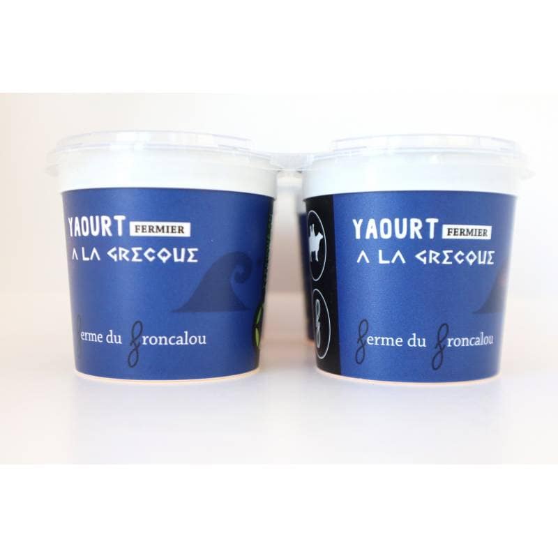 Yaourt Grec 4x100g