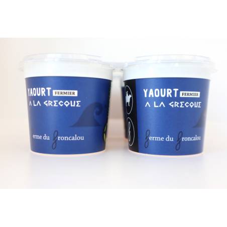 Yaourt Grec 4x100g