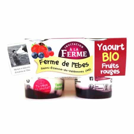 Yaourt Bio Fruits Rouges 4x125g