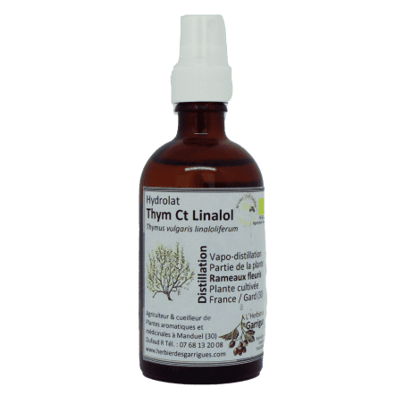Hydrolat Thym à linalol spray 100ml