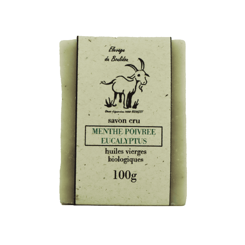Savon Menthe poivrée eucalyptus 100g