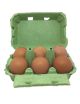 Oeufs Bio x6